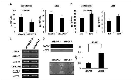 Figure 4. ELOVL7 affected de novo androgen synthesis and lipid signaling. A, ELOVL7 knockdown significantly decreased testosterone level in C4-2B cells (P = 0.0267) and there are also decreasing trend of DHT level in C4-2B cells in ELOVL7 knockdown (P = 0.11289). B, the tumors in high-fat diet group significantly contained more testosterone than the tumors in normal diet group (P = 0.0386). There are also increasing trends of DHT level in the tumors in high-fat diet group comparing with DHT in normal diet group (P = 0.1659). C, RT-PCR analysis validated that ELOVL7 knockdown decreased S1PR3 expression in C4-2B cells among five candidates (IER3, HDAC8, GDF15, UGT2B11, and S1PR3) as the down-streaming genes of ELOVL7. D, RT-PCR showed the shRNA to S1PR3 knocked down S1PR3 expression in C4-2B cells, comparing to a negative control vector (siEGFP). S1PR3 knockdown in C4-2B cells significantly attenuated the cell growth, which was evaluated by colony formation assay and MTT assay (P < 0.01, by Student's P test).