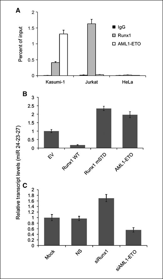 Figure 2. Runx1 and AML1-ETO transcriptionally regulate the miR-24-23-27 cluster. A, AML patient–derived Kasumi-1 cells that express both Runx1 and AML1-ETO, B-cell lymphoma Jurkat cells that express only Runx1, or cervical carcinoma HeLa cells that do not express either protein were subjected to ChIP assay using antibodies specific for Runx1 (light gray column) or AML1-ETO (white column). Immunoprecipitated DNA was subjected to qPCR using locus-specific primers and the results were represented as bar graphs of % input. IgG was used as a negative control for the immunoprecipitation. B, K562 cells were infected with retroviruses carrying either Runx1WT, Runx1 mSTD, or AML1-ETO cDNAs. Total cellular RNA was isolated from cells 48 h after the infection and was subjected to qPCR using primers specific for the miR-24-23-27 transcript. Bar graphs represent transcript levels in various experimental groups relative to empty vector (EV). C, Kasumi-1 cells were transfected with siRNA against Runx1 or AML1-ETO. Cells were subjected to total cellular RNA isolation and qPCR 48 h posttransfection. Data were represented as bar graphs of transcript levels relative to mock-transfected cells.