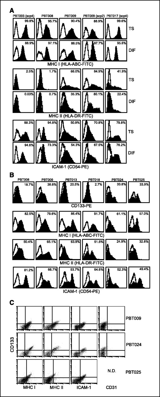 Figure 2. Flow cytometric analysis of MHC I, MHC II, and ICAM-1 expression. TS (top) and DIF (bottom) cells (A) and freshly dispersed glioma tumors (B) were analyzed by flow cytometry using the indicated antibodies (black histograms) or isotype controls (solid line). Percentage positive cells are indicated. C, freshly dispersed glioma tumor cells were double stained for CD133 versus HLA-ABC, HLA-DR, CD54 (ICAM-1), or CD31 expression. N.D., not done.