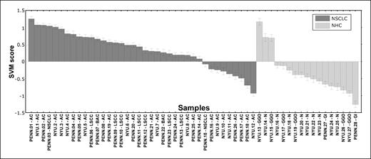Figure 2. Application of the NSCLC classifier to independent validation sets. PBMC-derived RNA of lung cancer patients and controls collected at the NYU Lung Cancer Biomarker Center have labels prefaced by NYU. Lung cancer and control RNAs collected at Penn are prefaced by Penn. IDs that end in GGO, ground glass opacities; GI, granulomatous inflammation; AC, adenocarcinoma; LSCC, lung squamous cell carcinoma; NSCLC, non–small cell lung cancer; and NHC, nonhealthy control.