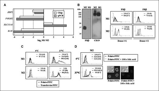 Folate Receptor β Is Expressed by Tumor-Associated Macrophages and ...