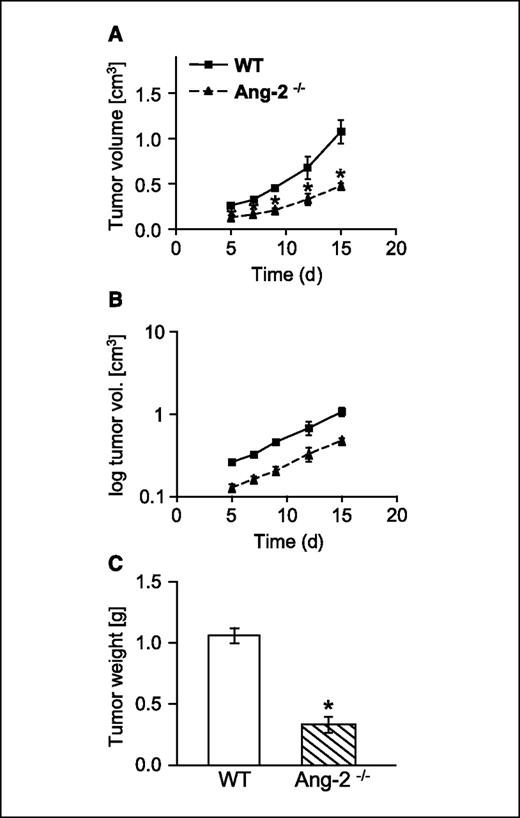 Figure 5. Growth of MT-ret melanomas in WT and Ang-2–deficient mice. Tumor growth in MT-ret melanomas dissociated during the very earliest stages of tumor growth (A). Thereafter, tumor growth rates were almost identical as evidenced by essentially parallel curves of log-transformed tumor growth data (B). Total tumor weight was strongly reduced in tumors grown in Ang-2–deficient mice (C). Yet, as in LLC tumors, the differences in tumor weight at the end of the experiment resulted mostly from the dissociating exponential growth curves as a consequence of a dissociation of tumor growth curves during early stages of tumor growth. *, P < 0.05.