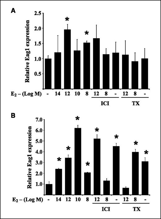Figure 3. Estrogenic regulation of Eag1 expression in HeLa cells and participation of ERα. A, real-time RT-PCR experiments show that wild-type HeLa cells display endogenous Eag1 expression (as previously reported in ref. 1), but E2 up-regulates Eag1 expression at some concentrations without the effect of antiestrogens. However, when HeLa cells were forced to express ERα, Eag1 was strongly up-regulated by both E2 and antiestrogens (B). Columns, mean; bars, SD. *, P < 0.05 compared with control (no E2 treatment).