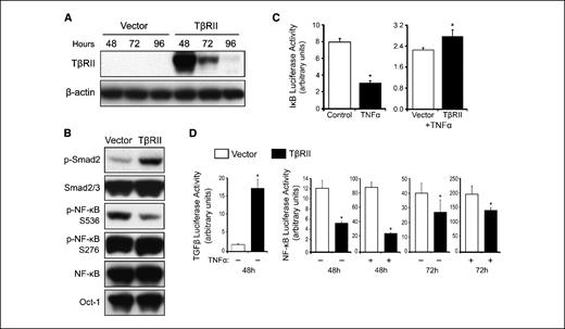 Figure 5. TβRII transfection restores TGFβ signaling and inhibits NF-κB activation in HNSCC. A, transient transfection with TβRII expression vector enhances expression of TβRII protein. Western blots were performed using whole-cell lysates from UM-SCC-46 cells at the indicated times. B, Western blot analysis of nuclear extracts from UM-SCC-46 showing reexpression of TβRII restores TGFβ phosphorylated Smad2 signaling and suppresses IKK-dependent serine-536 but not PKA-mediated serine-276 phosphorylation of RELA(p65) NF-κB subunit after TNFα (10 ng/mL). UM-SCC-46 cells were transfected with a TβRII expression plasmid or control vector, and nuclear extracts were harvested after 48 h for immunoblotting. Oct-1, loading control. C, TβRII attenuates TNFα-induced degradation of IκBα-luciferase fusion protein. UM-SCC-46 cells transfected with an IκB-luciferase fusion protein ±control or TβRII expression vector for 24 h and ±TNFα (50 ng/mL) for 30 min. D, TβRII induces TGFβ and attenuates NF-κB reporter gene transactivation in UM-SCC-46. UM-SCC-46 line was cotransfected with the respective reporter plasmid plus a TβRII expression or control vector and cultured ±TNFα (10 ng/mL) for 12 h before the indicated time points. All luciferase values are normalized to β-galactosidase. Columns, mean of triplicate samples; bars, SD. *, P < 0.05.