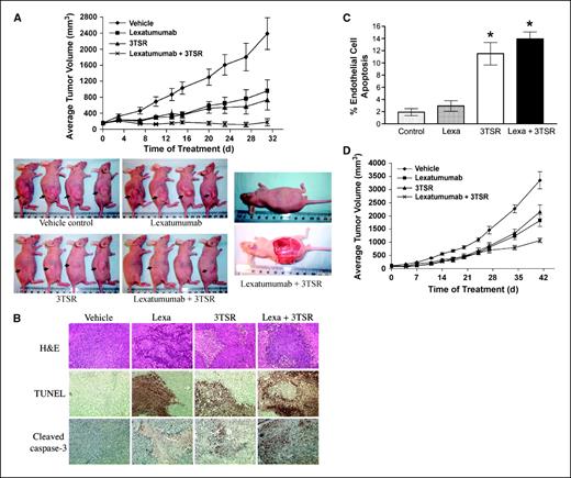 Figure 1. 3TSR and TRAIL cooperate in inhibiting colon cancer. A, human colon cancer SW480 cells were implanted into the right flank of nu/nu mice. Seven days post-implantation, mice were injected daily with Lexatumumab (3 mg/kg intravenously) and 3TSR (1 mg/kg intraperitoneally) or 0.9% saline and TSR buffer. Mean from 10 mice in each group (n = 10). By treatment day 31, ANOVA indicates P < 0.01 for Lexatumumab versus vehicle, P < 0.001 for 3TSR versus vehicle, P < 0.001 for Lexatumumab + 3TSR versus vehicle, and P < 0.05 for Lexatumumab + 3TSR versus Lexatumumab. By day 31, TGI = 60% for Lexatumumab, TGI = 69% for 3TSR, and TGI = 93% for Lexatumumab + 3TSR. B, immunohistochemical staining on SW480 tumor sections for TUNEL and cleaved caspase-3. SW480 xenograft tumors were collected from three mice from each treatment group on day 28 after tumor cell inoculation. Similar results were observed from tumor samples of three mice from each treatment group. Original photos were taken at ×200 magnification. C, analysis of tumor vasculature endothelial cell apoptosis. The apoptosis of tumor-associated vascular endothelial cells was evaluated via double labeling of CD31 and TUNEL. 3TSR significantly induced apoptosis of tumor vascular endothelial cells (P = 0.001 versus vehicle control), whereas Lexatumumab (Lexa) treatment showed little effect on tumor vascular endothelial cell apoptosis. The combination of Lexatumumab and 3TSR resulted in a similar level of endothelial cell apoptosis as with 3TSR alone (*, P < 0.001 versus control). D, growth of HCT116 colon cancer xenograft in nude mice. Tumor implantation and treatments were same as A, except 1 × 106 cells were used for implantation. Points, mean from 12 mice in each group (n = 12). By treatment day 41, statistical analysis by ANOVA indicates P < 0.01 for Lexatumumab versus vehicle, P < 0.05 for 3TSR versus vehicle, P < 0.001 for Lexatumumab + 3TSR versus vehicle, and P < 0.05 for Lexatumumab + 3TSR versus 3TSR. By treatment day 41, TGI = 46% for Lexatumumab, TGI = 36% for 3TSR, and TGI = 68% for Lexatumumab + 3TSR.