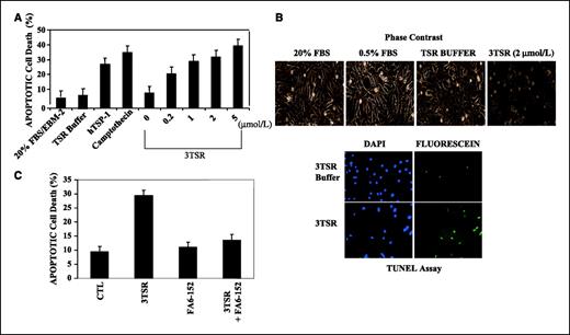 Figure 2. 3TSR induces apoptosis of HDMEC. A, primary HDMEC were treated with 3TSR, TSP-1, and camptothecin at the indicated concentrations for 24 h. The apoptotic cell population was assayed by fluorescence-activated cell sorting analysis and indicated that 3TSR-mediated apoptosis increased in a dose-dependent manner. B, phase-contrast microscopy showed that 3TSR-treated cells have a rounded/apoptotic morphology and are positive for TUNEL staining. C, HDMEC were preincubated with anti-CD36 antibody FA6-152 for 1 h before adding 3TSR. Apoptotic cell population was measured as in A and showed that 3TSR-mediated apoptosis is dependent on the activity of the CD36 receptor.