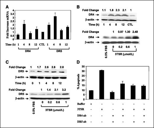 Figure 4. 3TSR regulates expression of the proapoptotic death receptors DR4 and DR5. A, 3TSR treatment of HDMEC for 1 to 12 h significantly increased expression of DR4 and DR5 at the transcriptional level. B and C, 3TSR treatment of HDMEC for 1 to 12 h increased both DR4 and DR5 protein expression, whereas 3TSR treatment of HDMEC for 8 h increased both DR4 and DR5 expression in a concentration-dependent manner. D, pretreatment of HDMEC cells with DR4- and/or DR5-blocking antibody for 30 min inhibited 3TSR-mediated apoptosis.