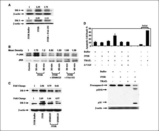 Figure 5. 3TSR-induced DR4 and DR5 expression is mediated by JNK activation. A, 3TSR and IgG treatment of HDMEC for 4 h up-regulated DR4 and DR5 expression and this increase was suppressed with the CD36-blocking antibody FA6-152. B, both 3TSR-stimulated phosphorylation of SAPK/JNK and JNK activity in HDMEC were inhibited by treatment with SP600125, a selective inhibitor of JNK and FA6-152. C, 3TSR treatment of HDMEC for 4 h up-regulated DR4 and DR5 expression. Treatment of these cells with SP600125, however, similarly decreased DR4 and DR5 levels. D, 3TSR sensitizes HDMEC to TRAIL-induced apoptosis. HDMEC were treated with control buffer, 3TSR, and TRAIL alone or in combination. 3TSR and TRAIL combination enhances apoptosis induced in HDMEC. Inhibition of caspase activity by z-VAD suppresses this cooperation. Additionally, combination of 3TSR and TRAIL enhances caspase-8 activity in HDMEC. Processing of caspase-8 was evaluated by Western blot analysis. Arrow, processed p43/p41 signature fragments of caspase-8 processing. Jurkat cells are used as a control to show the activity of TRAIL.