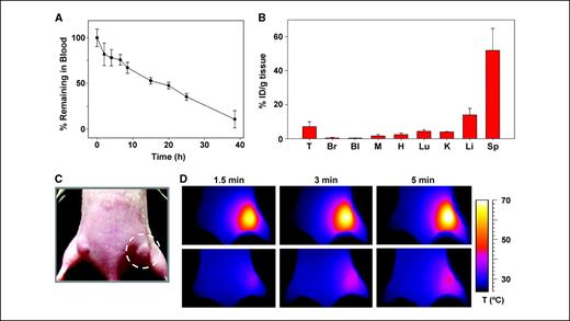 Figure 4. Long circulation time, passive tumor targeting, and photothermal heating of passively targeted gold NR antennas in tumors. A, PEG-NRs were i.v. given (20 mg/kg) to three mice bearing MDA-MB-435 tumors, and blood was withdrawn over time to monitor clearance from circulation. B, PEG-NR biodistribution and targeting to MDA-MB-435 tumors 72 h after i.v. administration, quantified via ICP-MS (three mice). T, tumor; Br, brain; Bl, bladder; M, muscle; H, heart; Lu, lung; K, kidney; Li, liver; SP, spleen. Data are tabulated in Supplementary Table S1. C, PEG-NRs or saline were i.v. given (20 mg/kg) to mice bearing MDA-MB-435 tumors on opposing flanks. After NRs had cleared from circulation (72 h after injection), the right flank was irradiated using an 810-nm diode laser (2 W/cm2; beam size indicated by dotted circle). D, thermographic surveillance of photothermal heating in PEG-NR–injected (top) and saline-injected (bottom) mice.