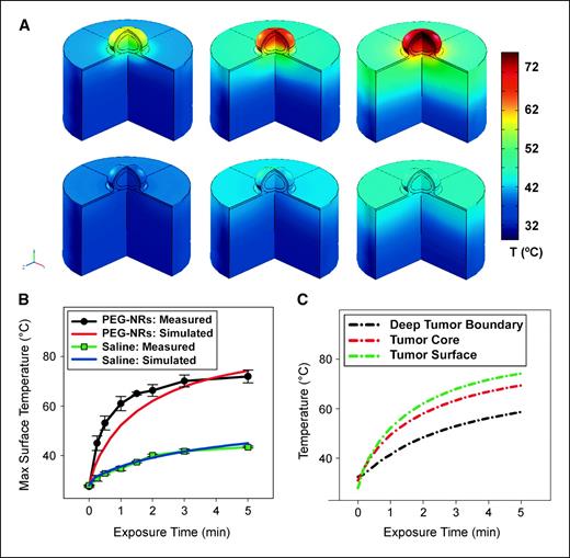 Figure 5. Quantitative photothermal modeling of gold NR tumor heating. A, three-dimensional finite element modeling of PEG-NR heating in vivo. Simulated three-dimensional temperature distributions matching the four-dimensional thermographic time points for PEG-NR (top) and control tumor irradiation (bottom). B, thermographically measured and simulated tumor surface temperatures over time for irradiation of PEG-NR or saline mice. C, simulated temperature increases various depths for PEG-NR–injected and saline-injected mice. By 5 min after the onset of irradiation, the entire PEG-NR tumor is predicted to have reached ablative temperatures of >60°C, motivating the choice of this irradiation regimen for subsequent therapeutic trials.