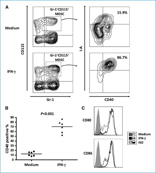 Figure 1. Expression of costimulatory molecules and MHC II by MDSC upon IFN-γ stimulation. Bone marrow Percoll fraction 2 cells, which contain MDSC, were cultured in the presence or absence of IFN-γ (100 ng/mL). Twenty-four hours later, cells were stained with fluorochrome-conjugated anti-Gr-1, anti-CD115, anti-CD40, anti-CD80, anti-CD86, and anti-I-Ab or isotype control. A, induction of CD40 on MDSC by IFN-γ. Flow cytometric data obtained from one representative experiment are presented as dot plots. B, significant induction of CD40 by IFN-γ. The results obtained from six tumor-bearing mice are presented. C, constitutive expression of CD80 and CD86 on MDSC.