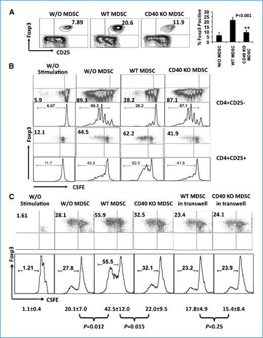 Figure 2. Requirement of CD40 for MDSC-mediated T-cell suppression and Treg expansion in vitro. A, Treg induction by WT versus CD40 KO MDSCs. Purified CD4+ T cells were cocultured with WT or CD40 KO MDSCs at 4:1 ratio for 5 d followed by flow cytometry to assess the presence of CD4+CD25+Foxp3+ Tregs. Data are gated on CD4+ populations (n = 6). B, expansion of CD4+CD25+Foxp3+ Tregs by WT, but not CD40 KO, MDSCs. CFSE-labeled, purified CD4+CD25− T cells and CD4+CD25+ Tregs from naïve mice were cocultured with WT or CD40 KO MDSCs at 4:1 ratio in the presence of anti-CD3/anti-CD28 for 3 d. Proliferation was assessed by flow cytometry. Histograms of CD4+CD25− population were gated on CD4+ cells, whereas those of CD4+CD25+ population were gated on Foxp3+ cells. Data from one representative of three reproducible experiments. C, CFSE-labeled, purified CD4+CD25+ Tregs from naïve OT-II mice were cocultured with WT or CD40 KO MDSCs at 4:1 (T cell to MDSC) ratio in the presence of irradiated OVA-EL4 cell (3,000 rad) at 10:1 ratio in the presence of IL-2 for 4 d. In the transwell experiment, MDSCs and Treg were added in the upper and lower chambers, respectively. Proliferation (CFSE dilution) was assessed by flow cytometry. Data from one representative of three reproducible experiments. Mean ± SD of each group has presented in results (n = 6).
