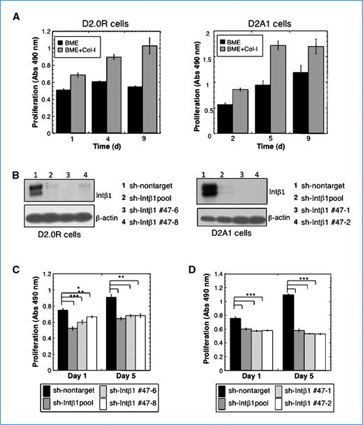 Figure 2. Col-I induces the transition from quiescence to proliferation of D2.0R and D2A1 cells through Intβ1. A, proliferation of D2.0R and D2A1 cells in BME+Col-I, compared with cells grown in BME (columns, mean; bars, SEM; n = 8; P ≤ 0.0001). B, Western blot for Intβ1 expression. Left, D2.0R cell lines. Right, D2A1 cell lines. C and D, proliferation of D2.0R (C) and D2A1 cells (D) in BME+ Col-I (columns, mean; bars, SEM; n = 8; *, P ≤ 0.05; **, P ≤ 0.01; ***, P ≤ 0.0001). Representative results of three independent experiments for all data shown.