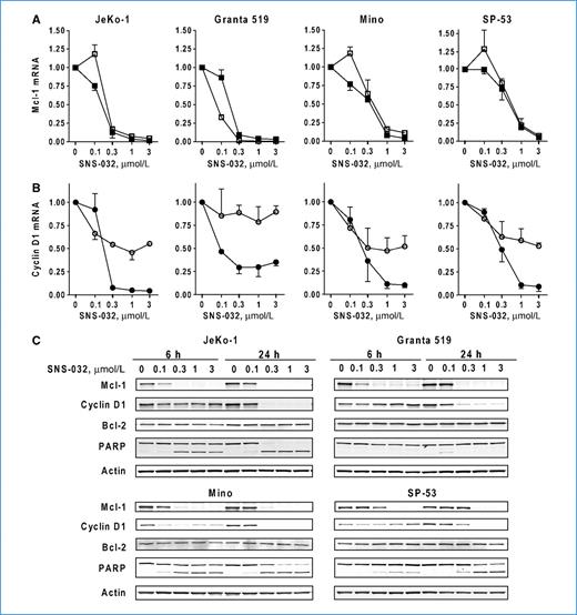 Figure 3. SNS-032 reduced the expression levels of critical oncoproteins in the MCL cell lines. A and B, SNS-032 reduced the mRNA levels of Mcl-1 and cyclin D1. Messenger RNA levels were measured after 6-h (open symbols) and 24-h (solid symbols) exposure of SNS-032 by real-time quantitative RT-PCR, and expressed as relative levels compared with controls. C, SNS-032 reduced the protein levels of Mcl-1 and cyclin D1, and induced apoptosis.