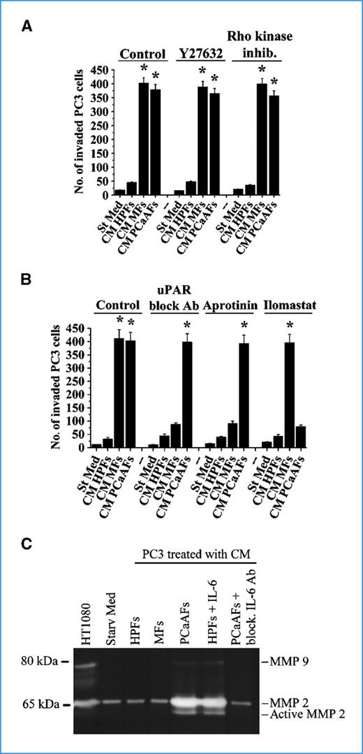 Figure 4. MFs and PCa-AFs induce different proteolytic motility strategies in PC3 cells. A, PC3 cells were incubated for 24 h with CM from HPFs, MFs, and PCa-AFs in the presence of Y27632 (10 μmol/L) or ROCK inhibitor (10 μmol/L), and PC3 cell invasion was evaluated. B, PC3 cells were treated as in A, except that invasion was evaluated during inhibition of MMPs (ilomastat, 50 μmol/L) or uPA/uPAR (100 μg/mL aprotinin or 3 μg/mL uPAR-blocking antibodies). Bar graphs, representative of six randomly chosen fields (B and C). *, P < 0.001 versus St Med. C, gelatin zymography analysis was performed on PC3 cells preconditioned with CM from HPFs, HPFs + 10 ng/mL TGF-β1 (MFs), HPFs + 50 ng/mL IL-6 (HPFs+IL-6), or HPFs + CMPC3 (PCa-AFs) with or without IL-6–blocking antibodies.
