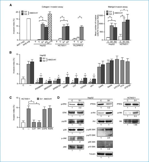 Figure 4. The invasive phenotype induced by NM23-H1 silencing depends on MAPK, PI3K/Akt, Rho/ROCK, and src signaling. A, left, parental (P), control siRNA (C), and NM23-H1–silenced (Si1 and Si2) cells were tested for their ability to invade native type I collagen in a 24-h invasion assay. MCF-7/AZ human mammary carcinoma cells and DHD-FIB rat colon myofibroblasts were used as negative and positive controls, respectively. Columns, mean of five independent experiments; bars, SEM. *, P < 0.05 versus control cells. Right, cells, as in the left, were tested for their ability to invade a Matrigel matrix in a 48-h invasion assay. Columns, mean of 10 independent fields; bars, SD. Each experiment was repeated twice. *, P < 0.05 versus control cells. B and C, NM23-H1–silenced (Si1 and Si2) cells were tested for their ability to invade native type I collagen in the presence of pharmacologic inhibitors of ERK1/2 (PD098059, 50 μmol/L), p38 (SB203580, 10 μmol/L), JNK (SP600125, 2 μmol/L), PI3K (wortmannin, 10 nmol/L), Rho-GTPases (C3T exoenzyme, 5 μg/mL), ROCK (Y27632, 1 μmol/L), src (PP1, 10 μmol/L), NF-κB (CAPE, 10 μmol/L), mTOR (rapamycin, 20 nmol/L), PLC (U73122, 1 μmol/L), Gα0/Gαi G proteins (pertussis toxin, 0.2 μg/mL), and PKA (KT5720, 1 μmol/L). Columns, mean of four independent experiments; bars, SEM. * and °, P < 0.05 versus untreated Si1- and Si2-silenced cells, respectively. D, whole-cell lysates of control and NM23-H1–silenced cells were analyzed 48 h after transfection by Western blotting with specific antibodies against the phosphorylated forms of ERK1/2, p38, JNK, Akt, and p70/p85 S6K and against PTEN and tubulin. The intensity of immunoreactive bands in silenced cells was quantified by densitometry relative to control cells.