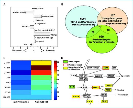 Figure 3. Target modulation by anti–miR-191 by monitoring gene expression. A, reporter assay of key response elements in major cancer-related pathways. The ratio of reporter signals between cells treated with anti–miR-191 and negative control is shown as increased or decreased fold change. B, overlap of genes from three populations of (a) upregulated genes after miR-191 inhibition (upregulated 2-fold and up in Affymetrix GeneChip), (b) predicted miR-191 targets (from union of TargetScan and Miranda), and (c) genes in affected pathways (from union of KEGG and NetPath). C, reporter fold change signals for vectors harboring full 3′-UTR of selected genes for both anti–miR-191 treatment and miR-191-mimic treatment. D, schematic representation of the affected pathways and genes after miR-191 inhibition, and the cellular response that leads toward apoptosis and inhibits the survival and proliferation paths.