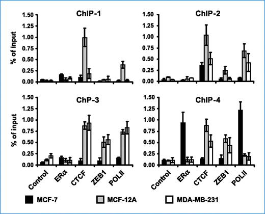 Figure 3. Transcriptional repressors bind to the miR-375 locus. Cross-linked chromatin was immunoprecipitated with antibodies specific for ERα, CTCF, ZEB1, and RNA POLII. Purified DNA was amplified with the four ChIP primer pairs (see Fig. 2A). Results are shown as percentage of the input (normalized against input). Diagrams show the results of three independent experiments ± SD.