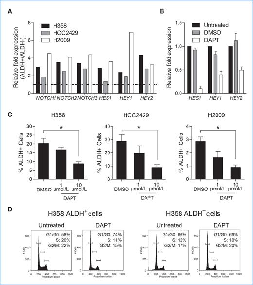 Figure 5. Notch signaling maintains ALDH+ lung cancer cells and sensitized ALDH+ cells to Notch signaling inhibition. A, expression of Notch signaling transcript (shown as an expression ratio in ALDH+/ALDH− cells) is elevated in ALDH+ lung cancer cells. B, qRT-PCR analysis revealed a decrease in Notch signaling transcription factors in unsorted lung cancer cells treated with 10 μmol/L of DAPT for 24 hours. C, cell lines treated with 10 μmol/L of DAPT for 5 days retained significantly smaller ALDH+ populations compared with DMSO-treated cells (n = 3; *, P < 0.05). D, sorted H358 ALDH+ and ALDH− cells were treated with DMSO and DAPT and cell-cycle analysis was performed revealing a greater accumulation of cells in G1/G0-phase as well as a decrease of cells in S-phase in DAPT treated ALDH+ cells compared with DAPT treated ALDH− cells.