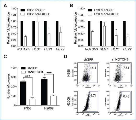 Figure 6. shRNA-mediated knockdown of NOTCH3 reduces clonogenic and ALDH+ lung tumor cell population. A and B, qRT-PCR analysis reveals an approximately 2-fold reduction of NOTCH3 expression, as well as a reduction in HEY1 and HEY2 expression in H358 and H2009-shNOTCH3 cells compared with control shGFP cells. C, colony formation analysis of H358 and H2009 reveals shNOTCH3-expressing cells exhibit a reduction in clonogenicity. D, Aldefluor analysis of H358 and H2009 cells expressing shGFP and shNOTCH3 indicate a reduction of ALDH+ cells in shNOTCH3-expressing cell lines (***, P < 0.005).