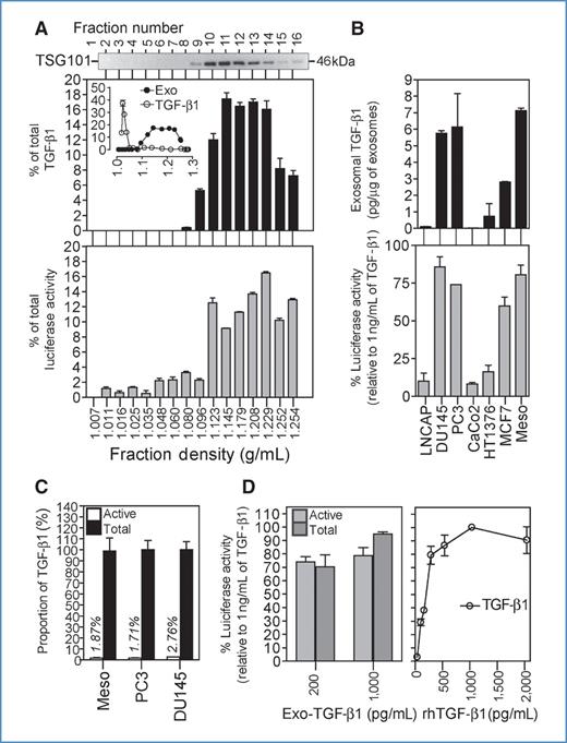 Figure 1. Cancer exosomes express functional TGF-β1. A, pellet (centrifuged at 70,000 × g) from cultured mesothelioma cell–conditioned medium was overlaid on a sucrose gradient (0.2–2.5 mol/L) and spun at 210,000 × g for 20 hours. Fractions (1–16) were collected, and the density of each was measured by refractometry. Each fraction was analyzed by Western blot (staining for the multivesicular body marker TSG101), SMAD3 reporter assay, and TGF-β1 ELISA. Graphs show mean ± SD of duplicates and depict percentage of total SMAD3 activity (gray bars) or percentage of total TGF-β1 (black bars) against fraction density. Inset line graph, ELISA data from fractions taken from a sucrose gradient loaded with soluble rhTGF-β1, highlighting soluble rhTGF-β1 (white circles) and exosomal TGF-β1 (black circles) floats at distinct densities. B, exosomes (200 μg/mL) purified from various cancer cell lines (as indicated) were subject to analysis by SMAD3 activity assay (gray bars), showing mean ± SD of triplicate measurements, and by TGF-β ELISA (black bars), showing mean ± SD of 3 preparations from each line. C, TGF-β ELISA was performed on exosomes (10 μg) prepared from 3 cell lines as indicated, without (active) and with (total) prior activation with acid, revealing exosomal TGF-β to be predominantly in a latent form, showing mean ± SD of 4 replicates. D, similarly, the analysis of exosomes by SMAD3 activity assay, without (active) and with (total) prior acid activation (bars, mean ± SD of 4 replicates), revealing comparable levels of exosomal TGF-β function. In addition, an SMAD3 activity assay using soluble rhTGF-β (0–2,000 pg/mL) was performed showing similar levels of functional activity to exosomal TGF-β (line graph, mean ± SD of 4 replicates).