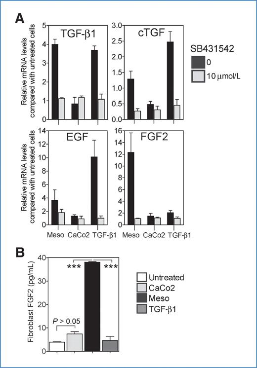 Figure 5. Induction of transcripts by cancer exosomes is similar but not identical to that induced by rhTGF-β. A, growth-arrested fibroblasts were treated with rhTGF-β1 (5 ng/mL) or with exosomes from mesothelioma cell line (Meso) or from a colorectal cancer cell line (CaCo2) each at 200 μg/mL, corresponding to 1.5 ng/mL and less than 20 pg/mL of exosomal TGF-β1, respectively. An inhibitor of TGF-β signaling (SB431542 at 10 μmol/L) was added, as indicated, and after 72 hours, total RNA was extracted and processed for qPCR. Graphs depict results from 4 independent experiments, expressing mRNA levels for TGF-β1, cTGF, EGF, and FGF2 (as indicated) relative to untreated fibroblasts (mean ± SD, n = 4). B, similarly, culture medium from fibroblasts stimulated with exosomes (200 μg/mL) or rhTGF-β (1.5 ng/mL) was analyzed for FGF2 levels by ELISA (mean ± SD of triplicates). ***P < 0.0001, 1-way ANOVA followed by Tukey's honest significant difference.