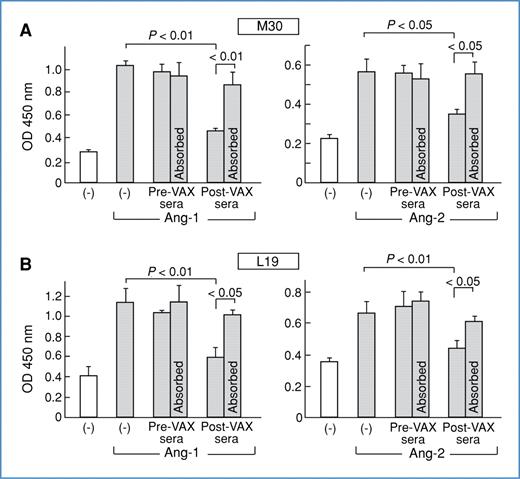 Figure 6. Vaccine-induced antibodies block angiopioetin-1/2 signaling. HUVECs were treated for 10 minutes with 50 ng/mL of Ang-1 or 200 ng/mL of Ang-2 in the presence of PBS or 1 mg/mL of purified immunoglobulins from pre- or postvaccination sera (with and without absorption with recombinant cytokine). Cell lysates were assayed for phospho-ERK with an ELISA. A, stage IV melanoma patient M30. B, stage IV lung carcinoma patient L19. Similar results were observed in 2 experiments.