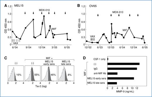 Figure 7. Immunotherapy stimulated blocking antibodies to MIF. A, longitudinal analysis of anti-MIF antibodies in metastatic melanoma patient MEL 15 (sera 1:500). Upward arrows denote vaccinations, downward arrows indicate anti–CTLA-4 mAb (MDX-010) infusions. B, longitudinal analysis of stage IV ovarian carcinoma patient OV65. C, MEL15 sera obtained after immunotherapy inhibited MIF-induced Tie-2 expression on monocytes. D, late MEL15 sera attenuated MIF-stimulated MMP-9 production. Similar results were observed in 3 experiments; P = 0.0314 for MEL15 early versus late sera.