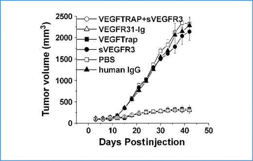 Figure 4. VEGFR31-Ig effectively suppresses HCCLM3 tumor growth in SCID mice. HCCLM3 cells (1 × 106 per mouse) were inoculated s.c. into the right flank of male SCID mice. One day after inoculation, the mice were injected s.c. with 25 mg/kg of VEGFTrap, sVEGFR3, VEGFR31-Ig, or VEGFTrap plus sVEGFR3 twice weekly. Points, mean tumor volume (n = 12); bars, SD.
