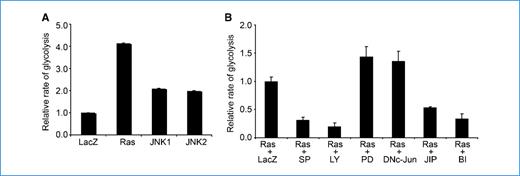 Figure 6. JNK function is essential for Ras induction of glycolysis. A, Ras increases glycolysis in primary human keratinocytes. Cells transduced for expression of LacZ, Ras, JNK1, or JNK2 were used for glycolytic analysis. B, Ras induction of glycolysis is dependent on PI3K and JNK. Cells transduced to express Ras were treated with DMSO control or pharmacologic inhibitors targeting JNK [SP600125 (SP), BI783D (BI), or TAT-JIP (JIP)], PI3K [LY294002 (LY)], or MEK [PD98059 (PD)] or transduced for expression of DNc-Jun before glycolytic analysis. Protein expression and kinase inhibition were confirmed by immunoblotting (Supplementary Fig. S4).