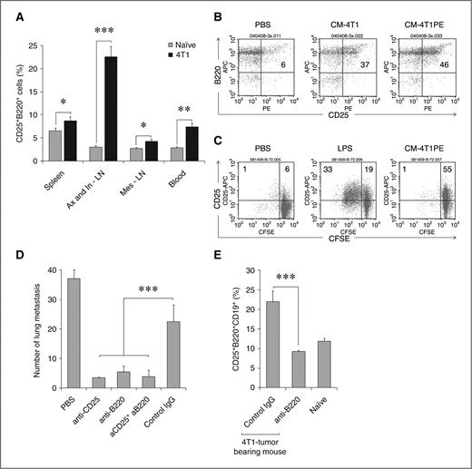 Figure 1. A, 4T1 cancer-bearing mice (black bars) have a higher proportion of CD25+B220+ cells (% ± SEM of 3 mice per group) in peripheral blood and secondary lymphoid organs (Ax, axillary; In, inguinal; and Mes, mesenteric) compared with naïve BALB/c mice (gray bars). B, CM from nonmetastatic 4T1-PE cells (CM-4T1PE) had a greater ability to generate CD25+CD19+B220+ cells in vivo, than CM from metastatic 4T1 cells (CM-4T1). Shown is proportion of cells within CD19+ cells. Naïve BALB/c mice were i.p. injected with 0.5 mL CMs or control medium (Mock) once a day 4 times and splenocytes were stained for CD25 and B220 cells 5 days after last treatment. C, poorly proliferative CD25+B220+ B cells were generated in vitro from naïve mouse B cells after treatment with CM-4T1PE for 2 days. Control B cells were treated with LPS (B-LPS), or PBS (B-PBS). Histograms show percentage of proliferated (CFSE diluted) B cells. Numbers are for percentage of cells in corresponding quadrants. The results in (A–C) were repeated at least 3 times. D and E, B220+CD25+ tBregs are required for lung metastasis. D, mean lung metastatic foci ± SEM of 4 mice per group; experiments reproduced 3 times. 4T1.2 tumor-bearing BALB/c mice were depleted of B220+ and CD25+ cells by i.p. injecting anti-B220 and anti-CD25 Abs alone or together (aCD25 + aB220), respectively. Control mice were treated with isotype-matched antibody (IgG). E, y-axis shows % ± SEM of CD25+B220+ cells (within CD19+ cells) in spleens of 4 tumor-bearing and naïve mice per group treated with anti-B220 Ab or IgG. From here on, *, P < 0.05; **, P < 0.01; ***, P < 0.001.