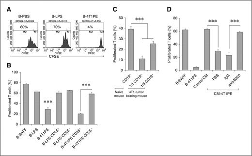 Figure 2. A, CM-4T1PE, but not mock (B-PBS) or LPS (B-LPS), treated B cells (B-4T1PE) inhibit proliferation of T cells stimulated with anti-CD3/CD28 Abs. B cells and CFSE-labeled T cells (responder) were cultured at a 1:1 ratio for 4 days in the presence of 50 U/mL IL-2. B, the suppressive activity of B-4T1PE is retained in CD25+ subset. CD25+ and CD25− subsets of B-LPS and B-4T1PE cells were purified using anti-CD25 Ab and tested as in (A). C, B cells isolated from 4T1 tumor-bearing mice also suppress T-cell activity. Splenic CD19+ were isolated from 4T1 tumor-bearing mice and tested as in (A) after mixing with CFSE-labeled T cells in 1:1 and 1:5 B- and T-cell ratio, whereas control naïve mouse B cells were used at 1:1 ratio. D, splenic CD19+ B cells were isolated from naïve BALB/c mice i.p. injected with control CM or cancer CM (CM-4T1PE, see Fig. 1B) and tested in vitro for the ability to inhibit T-cell proliferation as in (A). Purified B cells from CM-4T1PE–treated mice were also depleted using anti-B220 Ab or control IgG prior to mixing with T cells. Controls were B cells in vitro cultured with BAFF (to maintain viability of control cells) or CM-4T1PE (B-BAFF and B-4T1PE, respectively). Shown is % ± SEM of proliferated T cells of triplicates repeated at least 3 times.