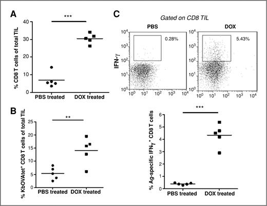 Figure 4. Local doxorubicin treatment enhances numbers of CD8 TILs and IFN-γ production. C57BL/6 mice were inoculated s.c. with AT3OVA (1 × 106) tumors. After 42 days, groups of mice (n = 5) were treated i.t. with doxorubicin (1 mmol/L) or PBS, and the following day received i.v. transfer of purified, CD8+ OT-I T cells (2 × 106). Seven days after OT-I cell transfer, tumors were excised and FACS analyses on CD8+ TILs were conducted. CD8 T cells (A) and KbOVA-tetramer–reactive CD8 T cells (B) as a percentage of total TILs for individual mice treated with PBS or doxorubicin are shown. C, antigen-specific IFN-γ cytokine production from CD8 TILs measured by intracellular staining after overnight in vitro stimulation of AT3OVA tumor cell suspensions with OVA peptide + IL-2. **, P < 0.01; ***, P < 0.0001, t test. Data are representative of 3 independent experiments.