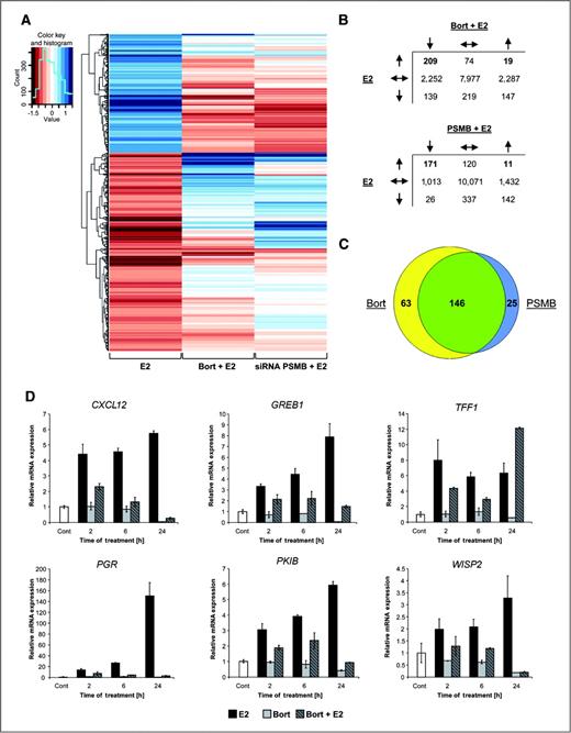Figure 2. The bulk of estrogen-regulated genes is negatively influenced by proteasome inhibition using bortezomib. A, mRNA expression profiling of estrogen-regulated genes after 24-hour treatment. The heatmap shows log2 fold changes (FC) in experiments 17β-estradiol versus control (E2), bortezomib + 17β-estradiol versus 17β-estradiol (Bort + E2), and PSMB siRNA + 17β-estradiol versus control siRNA + 17β-estradiol (siRNA PSMB + E2; columns) for genes which are significantly (q < 0.05; q = P values adjusted to false discovery rate) regulated by estrogen [FC < −log2 (1.5) or FC > log2 (1.5) rows]. The color key ranges from red marking downregulated to blue marking upregulated genes; mean values, n = 3. PSMB knockdown samples depict all genes which were either up- or downregulated in all 4 following comparisons: PSMB3 versus control 1, PSMB3 versus control 2, PSMB5 versus control 1, and PSMB5 versus control 2 siRNAs. B, effect of proteasome inhibition and knockdown on genes which are significantly influenced by estrogen. Numbers of genes depicted in the heatmap which are affected by estrogen, bortezomib, or the knockdown of 20S β subunits. E2 genes: ↓ = q < 0.05, FC < −log2 (1.5); ↑ = q < 0.05, FC > log2 (1.5); Bort + E2/PSMB + E2 genes: ↓ = q < 0.1, negative FC; ↑ = q < 0.1, positive FC. C, Venn diagram showing the overlap of genes that are significantly upregulated by estrogen [q < 0.05, FC > log2 (1.5)] and that are downregulated by bortezomib and/or knockdown of PSMB3 and PSMB5 (negative FC). D, total mRNA was extracted from MCF7 cells, pretreated for 15 minutes with 50 nmol/L bortezomib (Bort) or vehicle (ethanol, Cont) and incubated with 10 nmol/L 17β-estradiol (E2) for 2, 6, or 24 hours. The expression levels of estrogen target genes CXCL12, GREB1, TFF1, PGR, PKIB, and WISP2 were normalized to 28S ribosomal RNA graphed relative to the control sample and expressed as “relative mRNA expression”; mean values ± SD, n = 2.