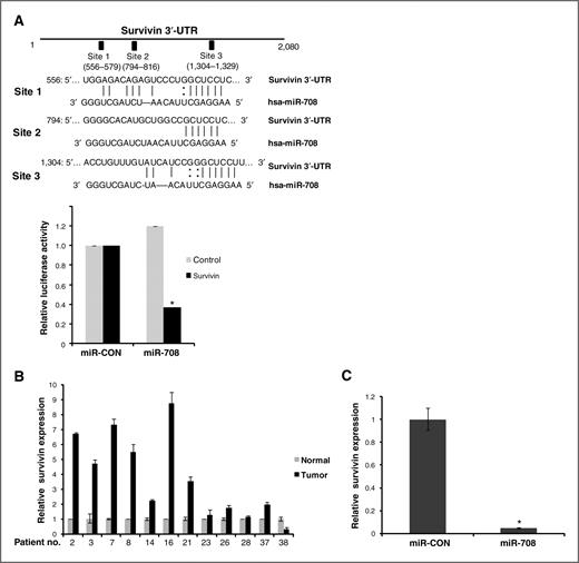 Figure 6. Survivin is a direct target of miR-708. A, schematic representation of survivin 3′-UTR showing the relative positions of 3 putative miR-708 target sites. Survivin 3′-UTR construct encompassing these sites or the control construct was cotransfected into A498 cells along with miR-708/miR-CON and assayed for relative luciferase activity. *, P < 0.05. B, relative survivin expression in human RCC tumor tissues and patient-matched normal tissues as assessed by real-time PCR. For this analysis, 12 of 38 pairs of human tissue samples used in Fig. 1B of this study (indicated by patient no.) were used to determine whether there was an inverse relationship between survivin and miR-708 expression. C, relative survivin expression in harvested tumors from mouse renal cancer xenografts intratumorally injected with miR-CON/miR-708. Survivin expression from the 2 groups was averaged and plotted. *, P < 0.05.
