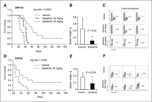 Figure 6. Dasatinib reduces lymphomagenesis of ZNF112 and CEP2A cells. A, ZNF112 xenografted into Balb/c mice (n = 10) and then treated with DMSO (vehicle) rapidly succumb. Xenografted mice treated with 20 mg/kg (n = 10) dasatinib prolongs survival and at 40 mg/kg (n = 10) significantly prolongs survival. In these animals (B), spleen enlargement in the 40 mg/kg group are significantly reduced. *, P < 0.05. Two weeks after treatment, using both doses shows reduced numbers of GFP+ cells in the peripheral blood of dasatinib-treated mice (C). In the same way, (D) treatment of CEP2A xenografts (n = 10) with 40 mg/kg dasatinib significantly prolongs survival and reduces spleen weight (E) in these animals. *, P < 0.05. Reduced numbers of GFP+ cells is also seen in this model (F).