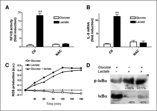 Figure 3. Lactate induces the NF-κB/IL-8 pathway in endothelial cells in a ROS- and IKK-dependent manner. Bar graphs represent (A) NF-κB activity determined using a dedicated luciferase reporter assay and (B) IL-8 mRNA expression determined by qPCR from endothelial cells cultured in the presence (or not) of 10 mmol/L NAC for 6 hours in glucose- (open bars) or lactate- (black bars) containing medium. Each bar represents the mean ± SEM of 3 to 4 independent experiments (**, P < 0.01). C, graph represents the production of ROS (arbitrary units, a.u.), as determined using the cell permeant fluorescent indicator DCF-DA (25 μmol/L), from endothelial cells exposed for the indicated periods of time to fresh medium containing glucose, lactate, or both; n = 3, SEM are smaller than symbols. D, representative phospho-IκBα (serine 32 and 36) and total IκBα immunoblotting from endothelial cells exposed for 15 minutes to glucose, lactate, or both; mean changes in signal intensity resulting from 3 independent experiments are indicated.
