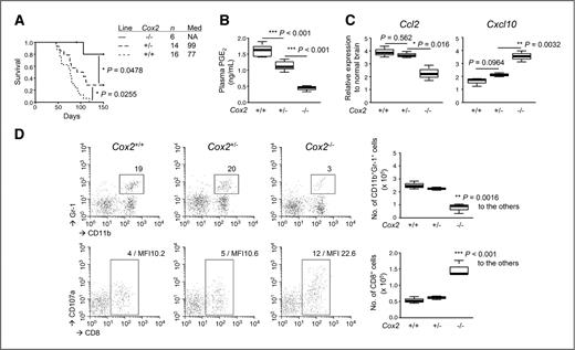 Figure 3. Deletion of Cox-2 alleles leads to similar effects to those by the ASA treatment. Gliomas were induced in C57BL/6 background Cox-2−/−, Cox-2+/−, and Cox-2+/+ mice. A, symptom-free survival was monitored. B, plasma samples were collected as described in Figure 1 to conduct ELISA for systemic PGE2 levels. C, total RNA was extracted from the mouse brains as described in Figure 2 to conduct quantitative RT-PCR for mRNA expression levels of Ccl2 (left) and Cxcl10 (right). D, BILs were isolated to carry out flow cytometry for subpopulations of CD11b+Gr-1+ (top) and CD8+CD107a+ (bottom) cells. Representative flow data (left) and cumulative enumerations from multiple experiments (right) are shown. Numbers in dot plots indicate percentage of gated subpopulations in leukocyte-gated populations; MFI of CD107a on CD8-gated subpopulation is also indicated in the bottom panels.