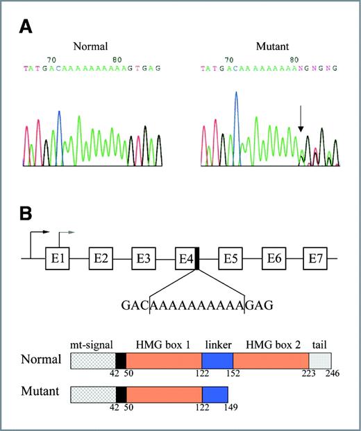 Figure 1. Sequence analysis of TFAM frameshift mutation in human CRC. A, sequence chromatograms of TFAM poly(A)10 mononucleotide repeat in normal (left) and CRC tissue (right). Arrow indicates the mutation site. B, genomic and domain structures of human TFAM. Frameshift TFAM mutation in the poly(A)10 mononucleotide repeat region of exon 4 results in a truncated protein lacking the C-terminus of TFAM, including a small portion of the linker domain, the entire HMG box2 domain, and the tail domain.