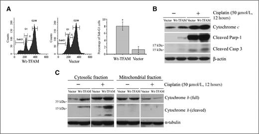 Figure 4. Mutant TFAM confers resistance to cisplatin-induced apoptosis in microsatellite-unstable RKO cells. A, representative flow cytometry images for apoptosis analysis. Cisplatin induced more apoptosis (sub-G1 population) in RKO cells expressing Wt-TFAM (left) than vector control (middle). The proportion of sub-G1 cells was increased by almost 8-fold (right, P < 0.05). Values represent mean ± SE of 3 independent experiments in triplicate. B, Western blots of RKO cell homogenates. The levels of Cyt c, cleaved Parp-1 and Casp-3 were higher in Wt-TFAM-expressing RKO cells and were enhanced by cisplatin treatment compared with vector-expressing RKO cells. C, Western blots showing Wt-TFAM overexpression promoted Cyt b release from mitochondria into cytoplasm of RKO cells under the same conditions as in (B). The release was enhanced by cisplatin treatment.
