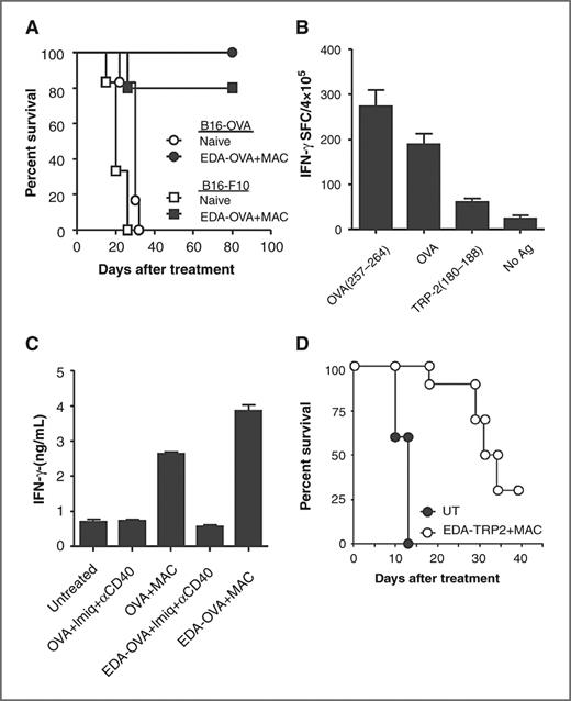 Figure 6. Administration of EDA-OVA+MAC to tumor-bearing mice induces T-cell responses against different tumor antigens. A, mice (n = 5–6 per group) that rejected B16-OVA tumors after immunotherapy with EDA-OVA+MAC or naïve mice were challenged with 105 B16-OVA or B16.F10 tumor cells 60 days after completing the treatment and survival was monitored twice a week. B, immune responses against tumor antigens were measured by IFN-γ ELISPOT in mice cured after immunotherapy with EDA-OVA+MAC. C, immune responses against TRP-2(180–188) peptide were measured in B16-OVA tumor-bearing mice treated for 10 days with different adjuvant combinations. D, C57BL/6 mice (10 per group) were injected s.c. with 105 B16.F10 tumor cells and when tumor diameter reached 5 mm they were treated during a 20-day period with EDA-TRP2+MAC or left untreated. Mice survival was monitored twice a week.