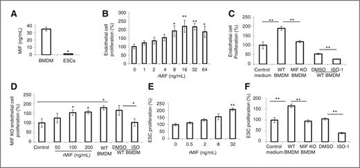 Figure 5. Macrophages enhance proliferation of endothelial cells and ESCs via production of MIF. A, secretion of MIF into culture supernatants of BMDM or ESCs as measured by ELISA. Supernatants were collected after 48 hours. and the values expressed as ng/mL per million cells (n = 3; *, P < 0.05, Student t test). B, effect of MIF on endothelial cell proliferation. Endothelial cells were incubated with rMIF at the indicated concentration for 3 days and cell proliferation was assessed by SRB assay (n = 3; *, P < 0.05; **, P < 0.001, ANOVA). C, effect of conditioned macrophage medium on endothelial cell proliferation. Endothelial cells were incubated with control medium, conditioned WT macrophage medium (WT BMDM), conditioned MIF KO macrophage medium (MIF KO BMDM), WT BMDM pretreated with DMSO or ISO-1 (500 nmol/L), respectively (n = 3; **, P < 0.001, ANOVA). D, effect of rMIF on proliferation of endothelial cell from MIF KO mice. Primary endothelial cells from MIF KO mice were incubated with rMIF, WT BMDM, WT BMDM pretreated with DMSO or ISO-1 (250 nmol/L), respectively for 3 days (n = 3; *, P < 0.05, ANOVA). E, effect of MIF on ESC proliferation. ESCs were incubated with rMIF at the indicated concentration for 3 days (n = 3; **, P < 0.001, ANOVA). F, effect of conditioned macrophage medium on ESC proliferation. ESCs were incubated with control medium, WT BMDM, MIF KO BMDM, WT BMDM pretreated with DMSO and or ISO-1 (500 nmol/L), respectively (n = 3; **, P < 0.001, ANOVA). All data are represented as means ± SEM of 3 independent experiments done in duplicate.