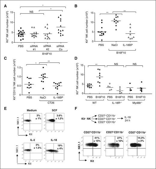 Figure 2. Tumor-driven IL-18 promotes the accumulation of Kit+ NK cells in lymphoid organs. A, IL-18–dependent accumulation of Kit+ NK cells in response to tumor inoculation. Flow cytometric analyses were conducted to determine the percentages and therefore the absolute numbers of Kit+ NK cells in LNs at day 6 post-intravenous inoculation of B16F10 transfected with control siRNA (siRNA Co) or 2 different IL-18–depleting siRNAs (siRNA #1, #2). The graph depicts all the pooled data from 3 independent experiments with 3 to 5 mice per group. *, P < 0.05 according to the Kruskal–Wallis test. NS, not significant. B and C, pharmacologic neutralization of IL-18 by IL-18BP decreases Kit+ NK cell expansion in various tumor models. IL-18BP was administered as described in Materials and Methods. The quantification of Kit+ NK cells in LNs of C57Bl/6 mice inoculated with B16F10 (B) and BALB/c mice inoculated with CT26 (C) was conducted on day 9. The graph depicts the pooled results of 3 independent experiments containing at least 2 to 4 mice per group. *, P < 0.05; **, P < 0.01 according to the Kruskal–Wallis test. NS, not significant. D, IL-18R/MyD88-mediated host responsiveness is required for Kit+ NK cell expansion. A total of 3 × 105 B16F10 were inoculated i.v. in wild-type (WT) versus IL-18R−/− or MyD88−/− mice. LN Kit+ NK cells were enumerated on day 12. **, P < 0.01 according to the Kruskal–Wallis test. NS, not significant. E, IL-18 selectively induces the differentiation of Kit+ NK cells in vitro. Kit− NK cells were stimulated with rmSCF (10 ng/mL), rhIL-2 (100,000 IU/mL), or rmIL-18 (25 ng/mL) overnight. Percentages of CD3−NK1.1+Kit+ were determined by flow cytometry. One representative experiment of 3 is shown. F, IL-18 preferentially drives the CD27+CD11b− subset of Kit− NK cells into Kit+ NK cells. Cell-sorted Kit−CD27+CD11b− or Kit−CD27+CD11b+ or Kit−CD27−CD11b+ NK cell subsets were cultured overnight with IL-18 (25 ng/mL). The percentage of Kit expression after overnight culture was determined on CD3−NK1.1+ cells among these 3 different cultures. One representative experiment of 3 is shown and the mean ± SEM of percentages obtained in 3 experiments are indicated.