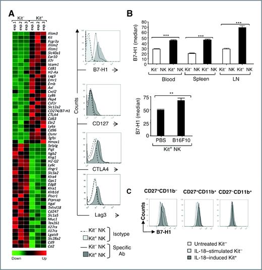 Figure 4. Phenotypic characterization of Kit+ NK cells. A, transcriptional profile of Kit+ versus Kit− NK cells. The heatmap details 28 genes elevated in Kit+ NK cells [fold change (FC) = 2.5, P < 0.05] and 28 genes elevated in Kit− NK cells (FC = 2.5, P < 0.05). Shown are row-wise z-transformed intensity values (mean = 0, SD = 1) with high-intensity values shown in red and low-intensity values shown in green. Representative histograms of fluorescence intensities for B7-H1, CD127, CTLA4, and Lag3 in Kit+ versus Kit− NK cells from naive LNs are depicted. Microarray data have been submitted to GEO database under GSE9431. B, expression of B7-H1 molecules on NK cells. Medians of fluorescence intensities of B7-H1 on NK cells in various locations in naive mice (top) versus tumor bearers (bottom) are depicted as mean ± SEM of 3 independent experiments. C, IL-18 preferentially drives the CD27+CD11b− subset of Kit− NK cells into B7-H1+ NK cells. Same experimental setting as in Fig. 2F but B7-H1 surface expression was analyzed. One representative analysis of 3 is shown. Among IL-18–induced Kit+ NK cells, the median of B7-H1 expression of CD27+CD11b− and of CD27+CD11b+ is 1,512 and 648, respectively. For statistics in all graphs, **, P < 0.01; ***, P < 0.001 according to the Mann–Whitney test.