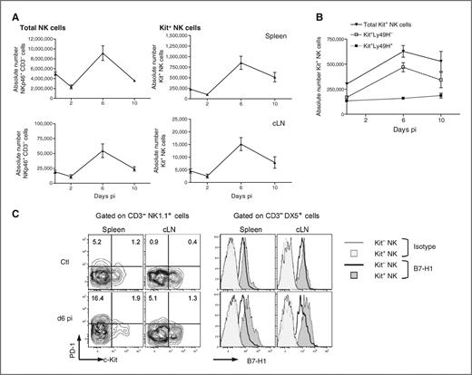 Figure 6. Accumulation of Kit+ NK cells during MCMV infection in resistant mice. A, spleen and cervical (CLN) lymph nodes were collected from MCMV-resistant (BALB.B6-CT8) mice infected with 5 × 103 pfu of MCMV-K181 for 0, 2, 6, and 10 days and absolute numbers of NK cells enumerated. The number of c-Kit+ NK cells was also determined. Data from spleen and cLNs are shown. B, numbers of splenic c-Kit+ NK cells within the total NK cell pool as well as the Ly49H− and Ly49H+ NK cell subpopulations were determined at the indicated times after infection. C, NK cells isolated from the spleen and cLNs were collected from uninfected control (ctl) mice or MCMV-infected (day 6 pi) mice and analyzed for c-Kit, PD-1, and B7-H1 expression. Isotype control antibodies were used to determine the fluorescence background, as indicated. Values indicate the percentage of cells in the indicated gates and quadrants. pi, postinjection.