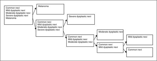 Figure 4. The classification scheme for pigmented lesions.