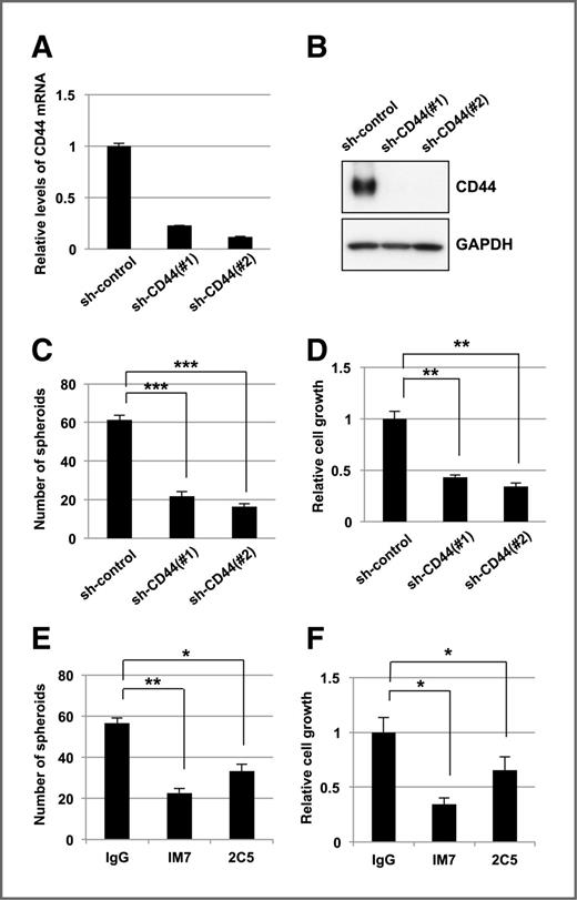 Figure 4. Inhibition of CD44 suppresses spheroid formation. A, qRT-PCR analyses of CD44 expression in spheroid cells (#6) after infection with lentiviruses expressing the indicated CD44 shRNAs. B, Western blot analyses of CD44 expression in the spheroid cells presented in A. C, spheroid formation after shRNA-mediated inhibition of CD44. Extent of spheroid formation was measured by counting the number of spheroids. D, cell growth of spheroid cells after shRNA-mediated inhibition of CD44. Cell growth was quantified by measuring cellular ATP. E, spheroid formation after treatment with the indicated antibodies. F, cell growth of spheroid cells after treatment with the indicated antibodies. C and D, 1 × 103 cells were plated per well for 3 days, and average values from 3 independent experiments are shown. *, P < 0.05; **, P < 0.01; ***, P < 0.001.