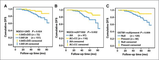 Figure 1. Effects of genetic variants on DFS according to adjuvant chemotherapy in primary breast cancer without adjuvant chemotherapy for NQO2-I-29/D (A), rs2071002 (B), and GSTM1-null/present (C). P value tested by log-rank test.