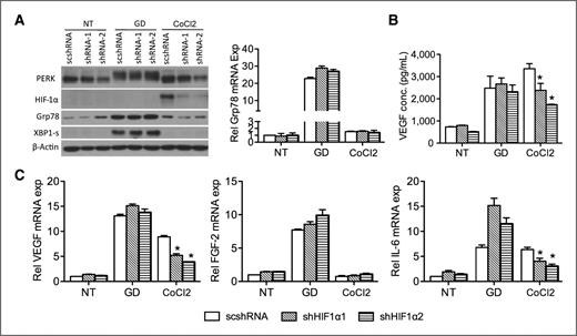 Figure 4. HIF1α is not involved in production of UPR-mediated proangiogenic mediators. Stable cell lines 81B-scshRNA, 81B-shHIF1α1, and 81B-shHIF1α2 were established with lentiviral vectors and treated with GD (2 mmol/L) or CoCl2 for 24 hours. Cells cultured in regular glucose (25 mmol/L) were used as untreated control (NT). A, UPR markers and HIF1α were assessed with Western blot analysis. Grp78 expression was determined by qPCR. B, ELISA shows VEGF levels in the supernatant. C, expression of angiogenic factors was quantified with qPCR and normalized to untreated control. *, P < 0.05.