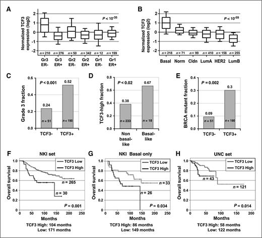 Figure 1. TCF3 is expressed in poorly differentiated aggressive breast cancers. A, TCF3 expression in 1,211 breast cancers from 6 studies, stratified by histologic grade (Gr) and ER status. Values were calculated relative to mean expression across samples (= 0), presented in Log2. Boxes span second and third quartiles; bars, median values; whiskers, 10th and 90th percentiles. P value (t test) compares highest expressing group to other groups. B, same analysis, with tumors stratified by subtype. Norm, normal-like; Cldn, claudin-low; and LumA, B, luminal type A, B. C, fraction of grade 3 cancers in TCF3 negative (TCF3−) and positive (TCF3+) tumors as assessed by immunohistochemical stain of a breast cancer tissue array. P values in C–E, chi-squares. D, fraction of TCF3-high tumors among basal-like and non-basal-like cancers in same collection. E, fraction of BRCA1/2 mutation carriers among indicated patients. F–H, Kaplan–Meier analyses of overall survival of patients expressing high or low TCF3 levels; P values, log-rank. F, patients in the NKI set. G, basal-like patients in NKI set. H, patients in the UNC set. Bottom, mean survival time.